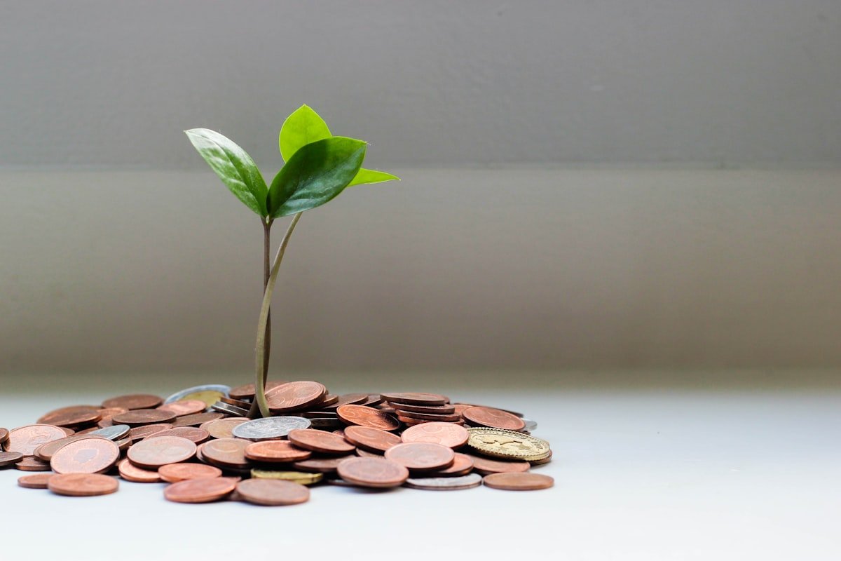 Plante der vokser op af mønter, symboliserer vækst og opsparing på vejen mod økonomisk frihed
